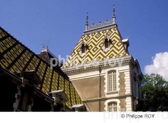 Hopices - Beaune (21V00309.jpg)