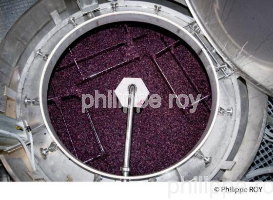 Elevage, Vins de Bourgogne, Beaune (21V00320.jpg)