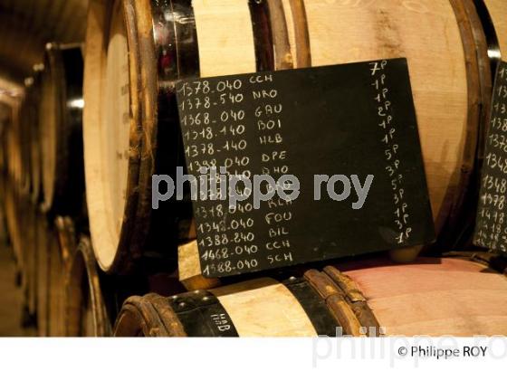 Elevage, Vins de Bourgogne, Beaune (21V00321.jpg)