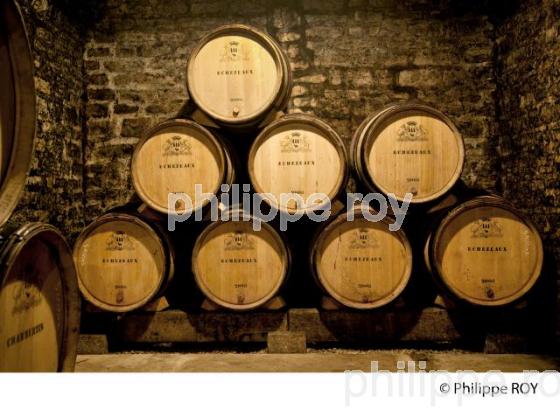 Elevage, Vins de Bourgogne, Beaune (21V00323.jpg)