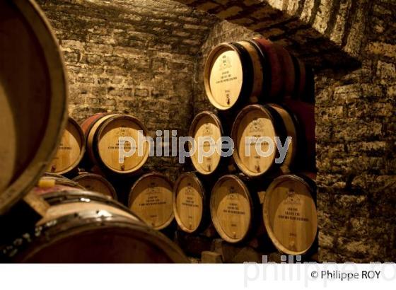 Elevage, Vins de Bourgogne, Beaune (21V00324.jpg)