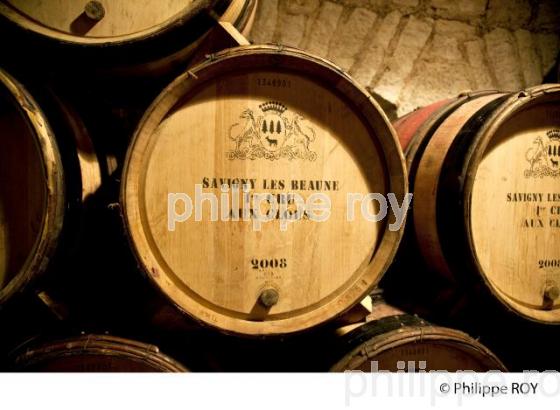 Elevage, Vins de Bourgogne, Beaune (21V00325.jpg)