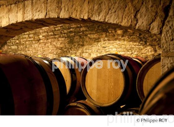 Elevage, Vins de Bourgogne, Beaune (21V00326.jpg)