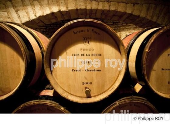 Elevage, Vins de Bourgogne, Beaune (21V00328.jpg)