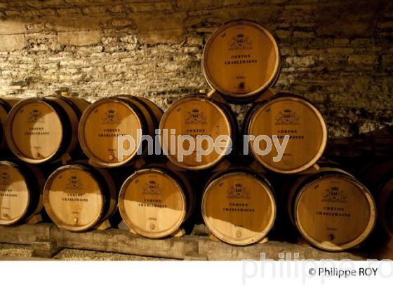 Elevage, Vins de Bourgogne, Beaune (21V00329.jpg)