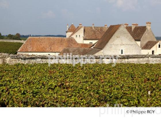 Vignoble de Bourgogne, Clos Vougeot (21V00504.jpg)