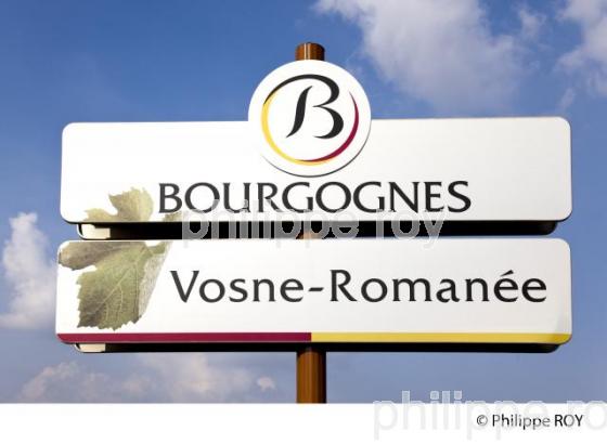 Vignoble de Bourgogne, Vosne Romanee (21V00508.jpg)
