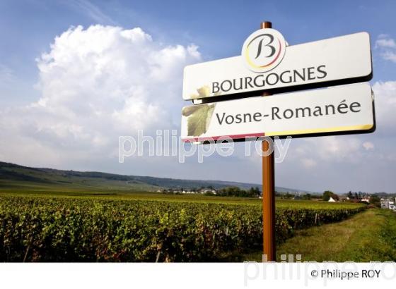 Vignoble de Bourgogne, Vosne Romanee (21V00509.jpg)