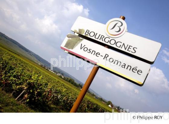 Vignoble de Bourgogne, Vosne Romanee (21V00510.jpg)