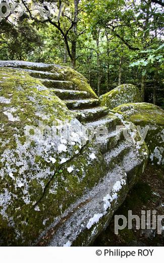 SITE DE LA PIERRE AUX NEUF GRADINS, SOUBREBOST,  CREUSE, LIMOUSIN. (23F00515.jpg)