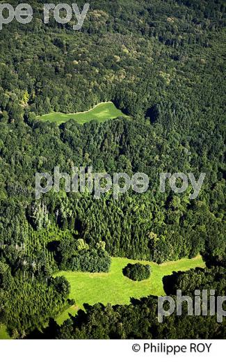 VALLEE DE LA CREUSE, COMMUNE DE CHAMBERAUD, CREUSE,  LIMOUSIN. (23F00526.jpg)