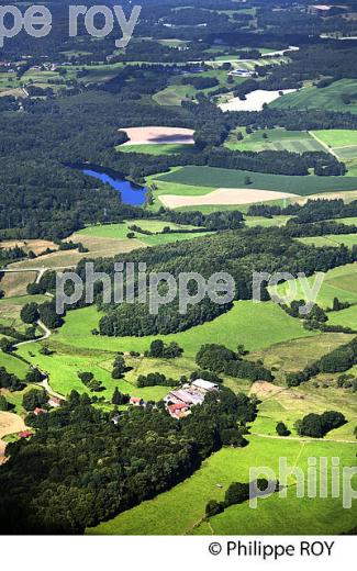 AGRICULTURE, VALLEE DU TAURION, COMMUNE DE PONTARION, CREUSE,  LIMOUSIN. (23F00529.jpg)