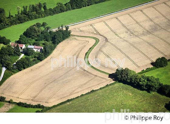 AGRICULTURE, VALLEE DU TAURION, COMMUNE DE PMONTBOUCHER, CREUSE,  LIMOUSIN. (23F00601.jpg)