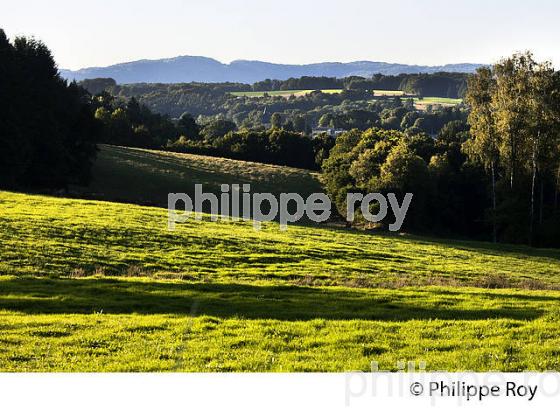 PAYSAGE AGRICOLE,  PLATEAU DE MILLEVACHES, CREUSE, LIMOUSIN. (23F00602.jpg)