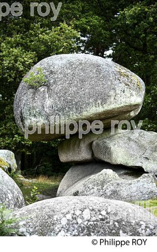 LES  PIERRE JAUMATRES, MONT BARLOT,  TOULX-SAINTE-CROIX, CREUSE, LIMOUSIN. (23F00918.jpg)