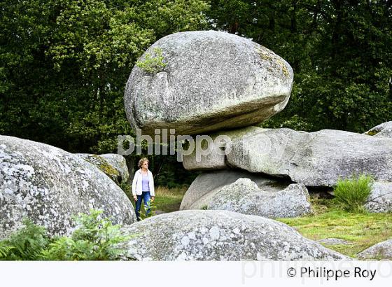 LES  PIERRE JAUMATRES, MONT BARLOT,  TOULX-SAINTE-CROIX, CREUSE, LIMOUSIN. (23F00920.jpg)