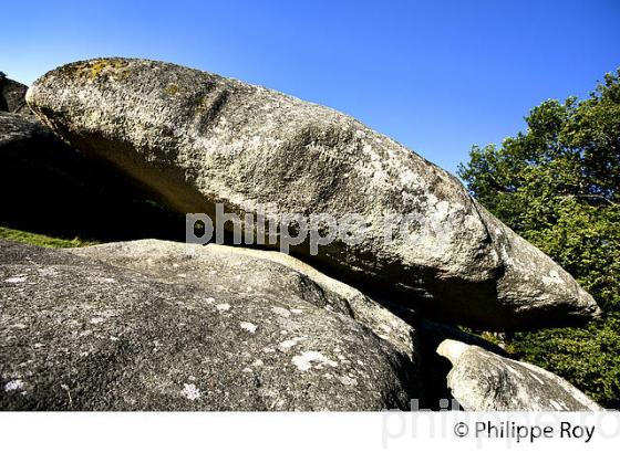 LES  PIERRE JAUMATRES, MONT BARLOT,  TOULX-SAINTE-CROIX, CREUSE, LIMOUSIN. (23F00940.jpg)
