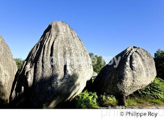 LES  PIERRE JAUMATRES, MONT BARLOT,  TOULX-SAINTE-CROIX, CREUSE, LIMOUSIN. (23F01008.jpg)