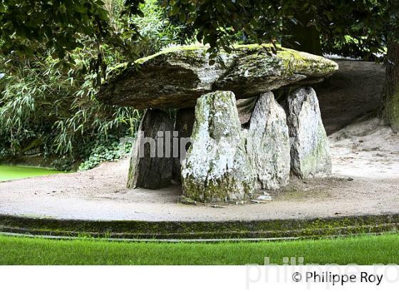 PARC DE LA SENATORERIE,  GUERET, CREUSE, LIMOUSIN. (23F01208.jpg)