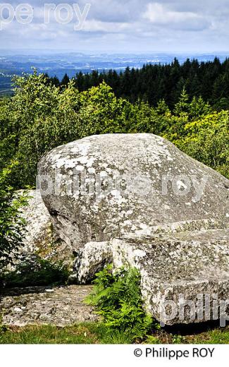 PUY MAUPUY,  MONTS DE GUERET, GUERET, CREUSE, LIMOUSIN. (23F01236.jpg)