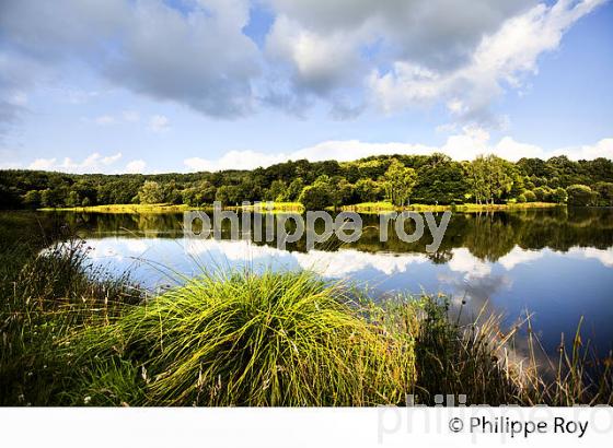 ETANG DE VALETTE, SAINT VAURY, MONTS DE GUERET, CREUSE, LIMOUSIN. (23F01320.jpg)