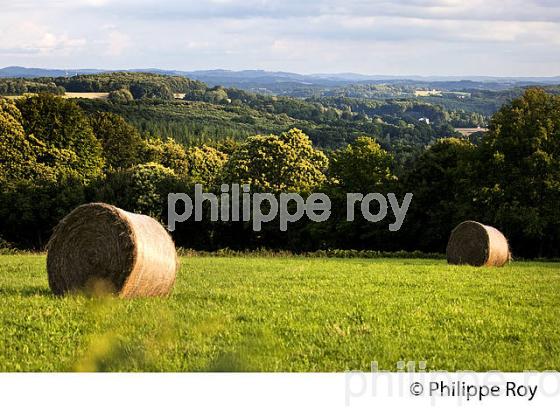 PAYSAGE AGRICOLE, SAINT VAURY, MONTS DE GUERET, CREUSE, LIMOUSIN. (23F01324.jpg)