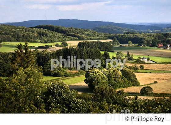 PAYSAGE AGRICOLE, SAINT VAURY, MONTS DE GUERET, CREUSE, LIMOUSIN. (23F01327.jpg)