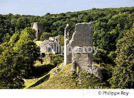 CHATEAU DE CROZANT, VALLEE DES PEINTRES,  CREUSE,  LIMOUSIN. (23F01627.jpg)