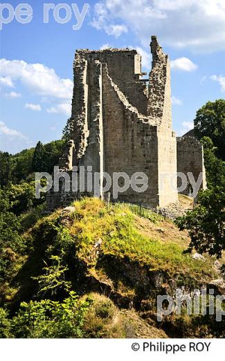 CHATEAU DE CROZANT, VALLEE DES PEINTRES,  CREUSE,  LIMOUSIN. (23F01635.jpg)