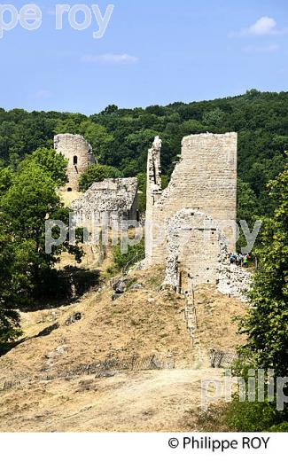 CHATEAU DE CROZANT, VALLEE DES PEINTRES,  CREUSE,  LIMOUSIN. (23F01637.jpg)