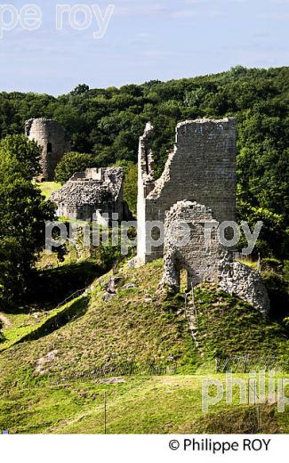 CHATEAU DE CROZANT, VALLEE DES PEINTRES,  CREUSE,  LIMOUSIN. (23F01639.jpg)