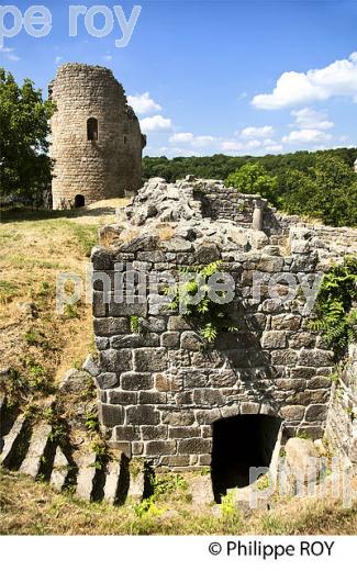 CHATEAU DE CROZANT, VALLEE DES PEINTRES,  CREUSE,  LIMOUSIN. (23F01705.jpg)