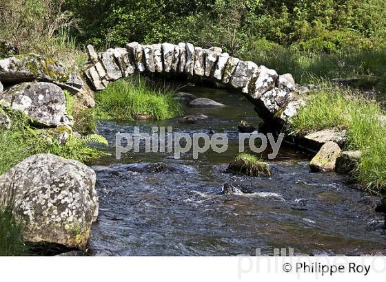 PONT DE SENOUEIX,    PLATEAU  DE MILLEVACHES, CREUSE. (23F01915.jpg)