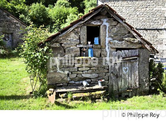 LANDE D' AUGEROLLES, SAINT PARDOUX MORTEROLLES, CREUSE, LIMOUSIN. (23F01940.jpg)