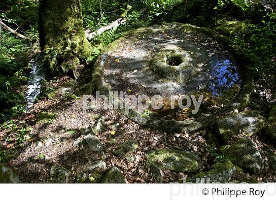 LANDE D' AUGEROLLES, SAINT PARDOUX MORTEROLLES, CREUSE, LIMOUSIN. (23F02002.jpg)