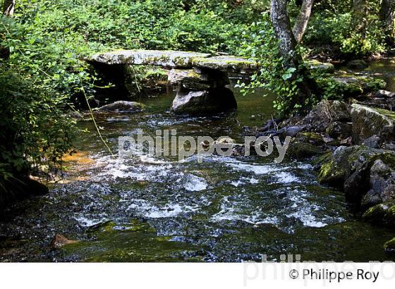 COURS D' EAU, PLATEAU DE MILLEVACHES, GIOUX,  CREUSE, LIMOUSIN. (23F02937.jpg)