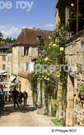 Sarlat la Canda - Dordogne (24F01019.jpg)