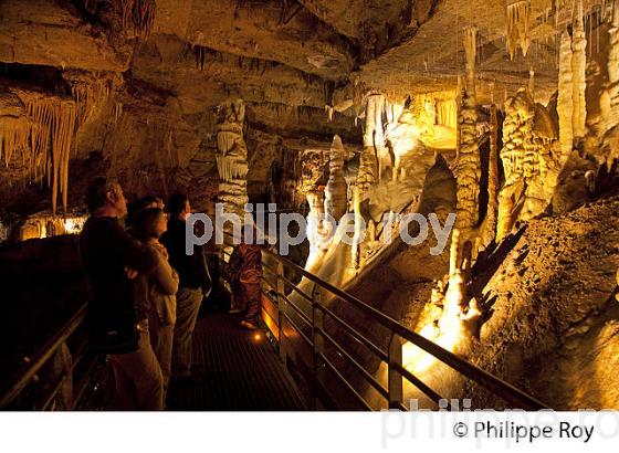 GROTTE DE TOURTOIRAC, VALLEE DE L' AUVEZERE, PERIGORD NOIR, DORDOGNE. (24F01426.jpg)