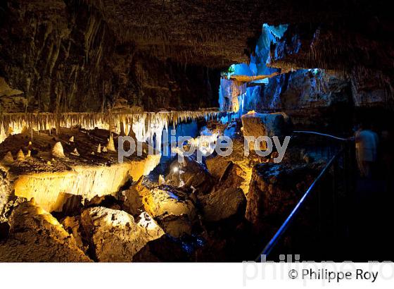 GROTTE DE TOURTOIRAC, VALLEE DE L' AUVEZERE, PERIGORD NOIR, DORDOGNE. (24F01428.jpg)