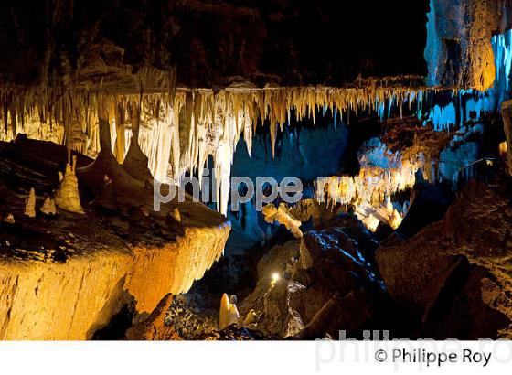 GROTTE DE TOURTOIRAC, VALLEE DE L' AUVEZERE, PERIGORD NOIR, DORDOGNE. (24F01429.jpg)