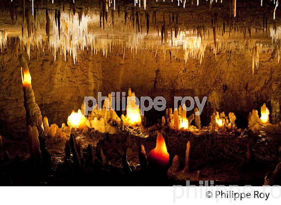 GROTTE DE TOURTOIRAC, VALLEE DE L' AUVEZERE, PERIGORD NOIR, DORDOGNE. (24F01432.jpg)