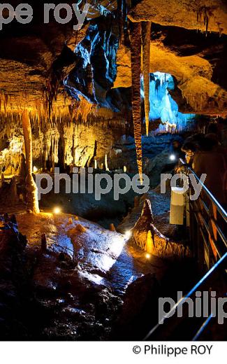 GROTTE DE TOURTOIRAC, VALLEE DE L' AUVEZERE, PERIGORD NOIR, DORDOGNE. (24F01433.jpg)