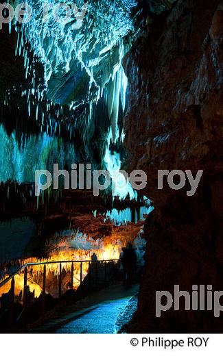 GROTTE DE TOURTOIRAC, VALLEE DE L' AUVEZERE, PERIGORD NOIR, DORDOGNE. (24F01435.jpg)