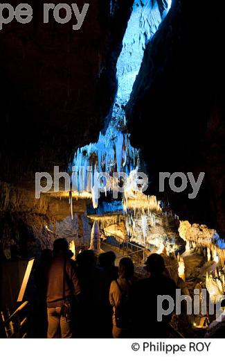 GROTTE DE TOURTOIRAC, VALLEE DE L' AUVEZERE, PERIGORD NOIR, DORDOGNE. (24F01436.jpg)