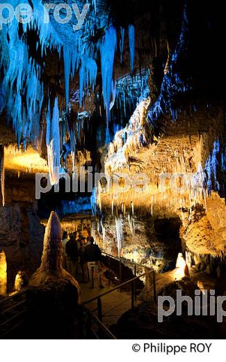 GROTTE DE TOURTOIRAC, VALLEE DE L' AUVEZERE, PERIGORD NOIR, DORDOGNE. (24F01437.jpg)