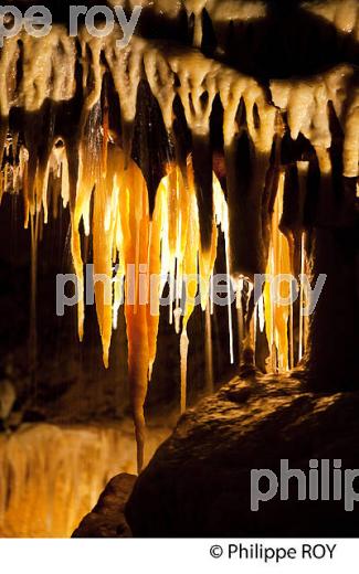 GROTTE DE TOURTOIRAC, VALLEE DE L' AUVEZERE, PERIGORD NOIR, DORDOGNE. (24F01438.jpg)