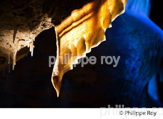 GROTTE DE TOURTOIRAC, VALLEE DE L' AUVEZERE, PERIGORD NOIR, DORDOGNE. (24F01502.jpg)