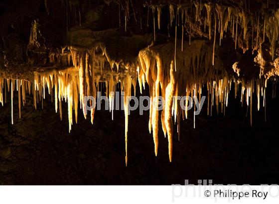 GROTTE DE TOURTOIRAC, VALLEE DE L' AUVEZERE, PERIGORD NOIR, DORDOGNE. (24F01504.jpg)