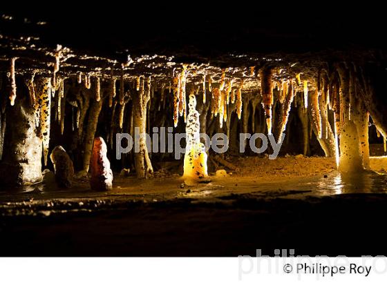 GROTTE DE TOURTOIRAC, VALLEE DE L' AUVEZERE, PERIGORD NOIR, DORDOGNE. (24F01506.jpg)