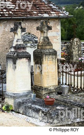 ROI D' ARAUCANIE, TOURTOIRAC, VALLEE DE L' AUVEZERE, PERIGORD NOIR, DORDOGNE. (24F01523.jpg)